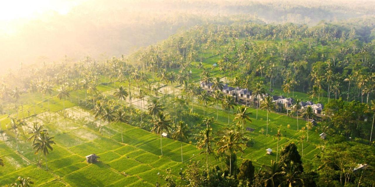 Stanagiri Luxury Retreat Ubud Tegallalang  Exterior foto