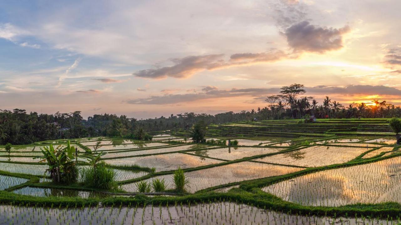 Stanagiri Luxury Retreat Ubud Tegallalang  Exterior foto